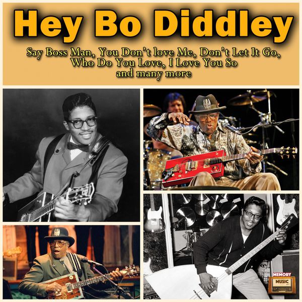 bo diddley discography